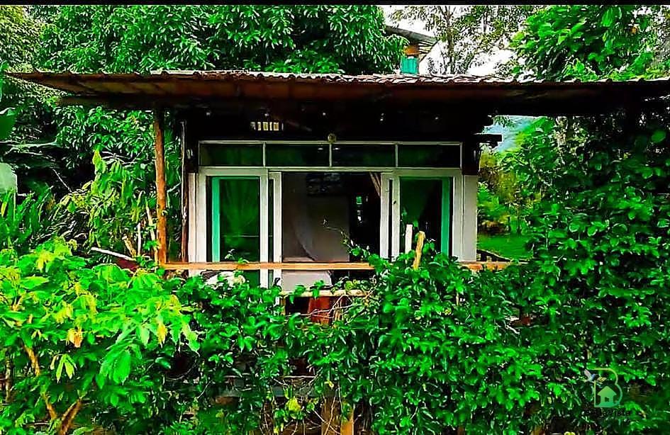 Alojamiento Rural Bellavista Experiences Mocoa Kültér fotó